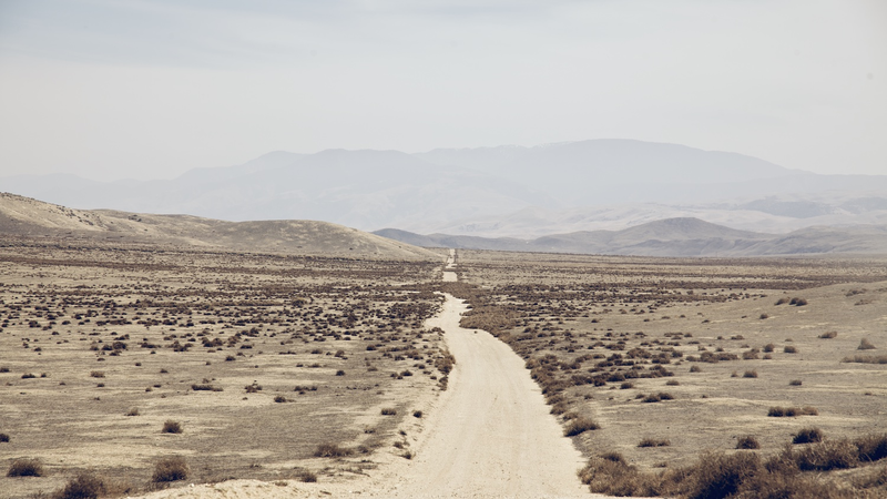 Illustration for article titled Inside California's Forgotten Grasslands